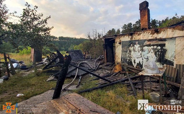 У Житомирі горів багатоквартирний будинок, вогонь ледь не знищив кафе. ФОТО