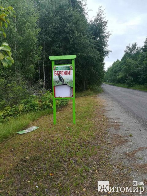На півночі Житомирщини вздовж автодороги були пошкоджені аншлаги, збитки лісгоспу - 30 тис. грн. ФОТО