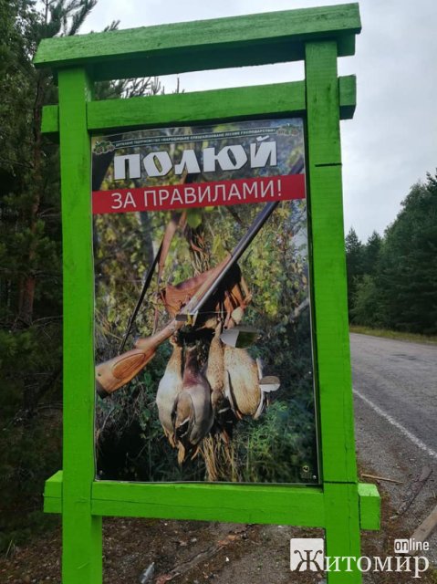 На півночі Житомирщини вздовж автодороги були пошкоджені аншлаги, збитки лісгоспу - 30 тис. грн. ФОТО