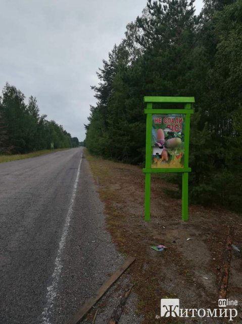 На півночі Житомирщини вздовж автодороги були пошкоджені аншлаги, збитки лісгоспу - 30 тис. грн. ФОТО