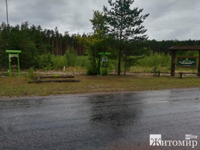 На півночі Житомирщини вздовж автодороги були пошкоджені аншлаги, збитки лісгоспу - 30 тис. грн. ФОТО