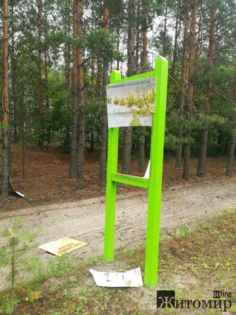 На півночі Житомирщини вздовж автодороги були пошкоджені аншлаги, збитки лісгоспу - 30 тис. грн. ФОТО