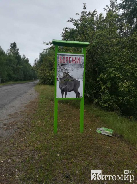 На півночі Житомирщини вздовж автодороги були пошкоджені аншлаги, збитки лісгоспу - 30 тис. грн. ФОТО