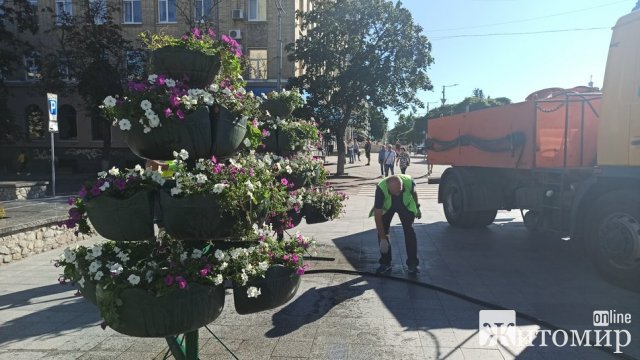 У Житомирі щодня на полив квітників та дерев витрачається до 14 тонн води. ФОТО