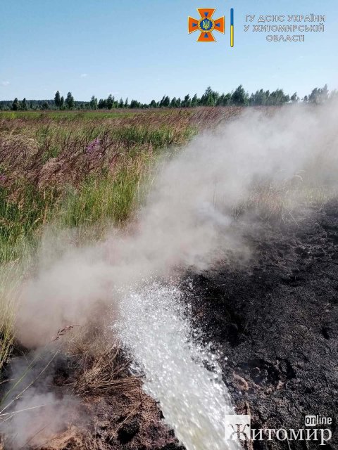 У Коростенському районі минулої доби горіла суха трава та торф. ФОТО