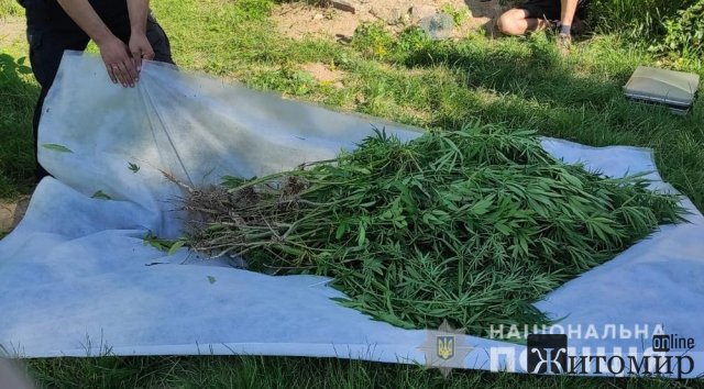  У жителя Хорошівської громади поліцейські вилучили пістолет, набої та гранату, а на Попільнянщині - обріз рушниці. ФОТО