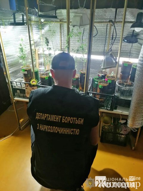 У Бердичеві на території домогосподарства 46-річного чоловіка поліцейські вилучили наркотиків на близько 120 тис. грн. ФОТО