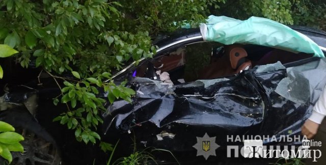 На автодорозі у Житомирській області Mercedes зіштовхнувся з колесовідбійником та з’їхав у кювет, є потерпіла. ФОТО