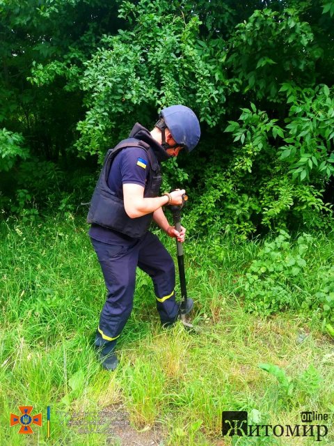 На подвір’ї у селі Малинської громади виявили осколковий боєприпас, а грибники в лісі знайшли елемент «Урагану». ФОТО