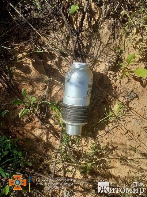 На подвір’ї у селі Малинської громади виявили осколковий боєприпас, а грибники в лісі знайшли елемент «Урагану». ФОТО
