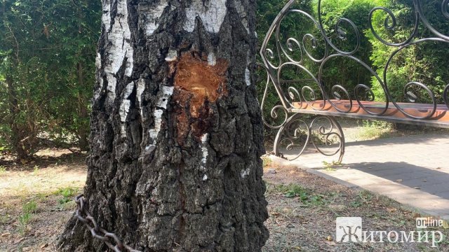 У житомирському парку вандали пошкодили п