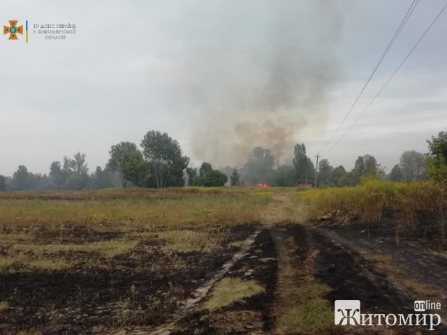 На Житомирщині продовжує горіти суха трава: за добу рятувальники ліквідували 18 пожеж. ФОТО
