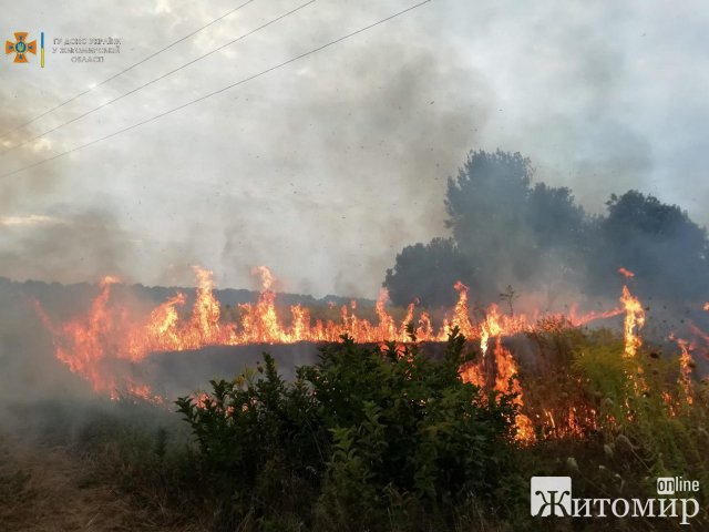 На Житомирщині продовжує горіти суха трава: за добу рятувальники ліквідували 18 пожеж. ФОТО