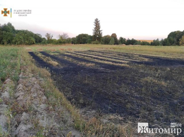 На Житомирщині продовжує горіти суха трава: за добу рятувальники ліквідували 18 пожеж. ФОТО