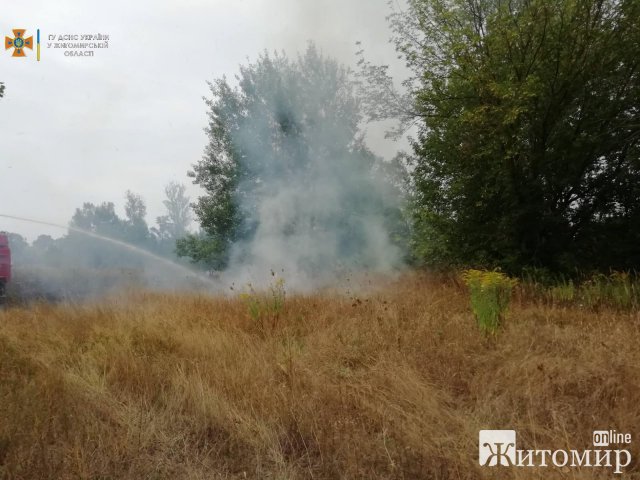 На Житомирщині продовжує горіти суха трава: за добу рятувальники ліквідували 18 пожеж. ФОТО
