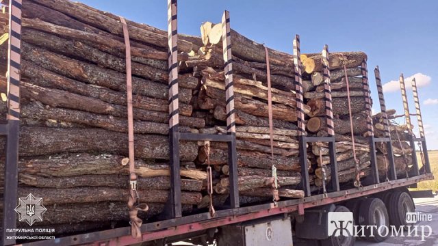На автодорозі в Житомирській області патрульні зупинили нервового водія, який перевозив деревину без документів та маркувань. ФОТО