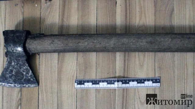 У Житомирі поліція знову затримала чоловіка, який підрубує дерева у місті. ФОТО