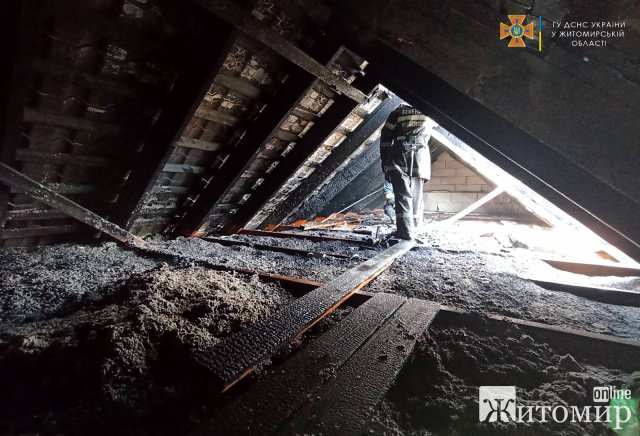 На Мальованці в Житомирі горів дах двоповерхового будинку. ФОТО