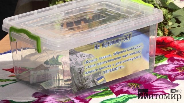 Як у Коростені провели благодійний фестиваль дерунів. ФОТО