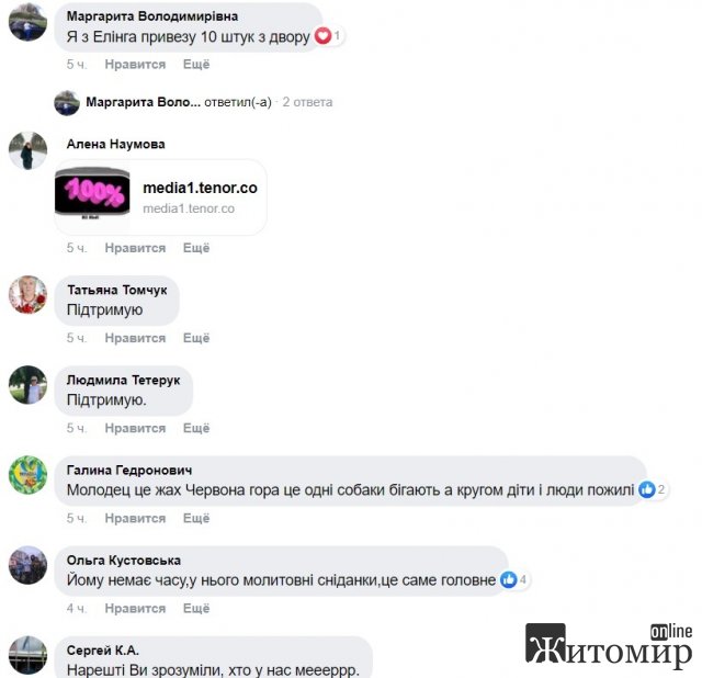 Через собак меру Бердичева поставили ультиматум