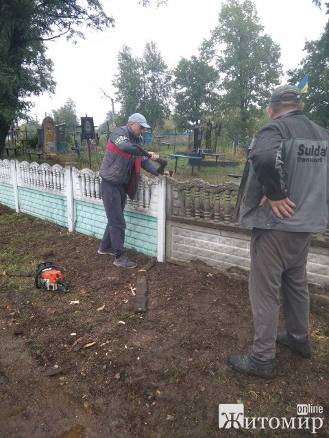 У селі на Житомирщині впало дерево та пошкодило паркан на кладовищі. ФОТО