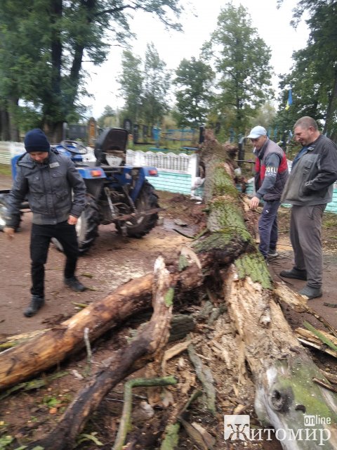 У селі на Житомирщині впало дерево та пошкодило паркан на кладовищі. ФОТО