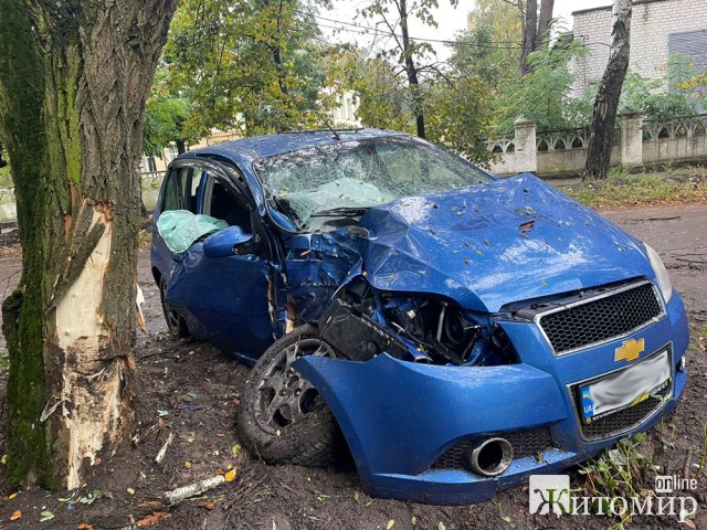 На Вільському Шляху в Житомирі Chevrolet врізалось у дерево, травмовані дві дитини. ФОТО