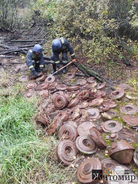 У Житомирській області рятувальники утилізували цілу стежку залишків протипіхотних мін. ФОТО