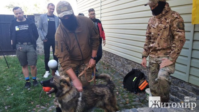 Подружжя з Житомира тренує собак для військових ЗСУ. ФОТО. ВІДЕО