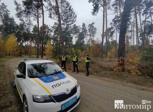 Пошукові групи знайшли пенсіонерку, яка в Житомирській області пішла по гриби й добу провела в лісі. ФОТО