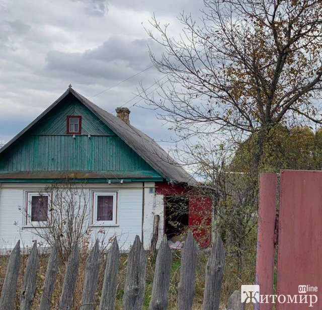 У селі Житомирського району поліцейські викрили двох причетних до крадіжок. ФОТО