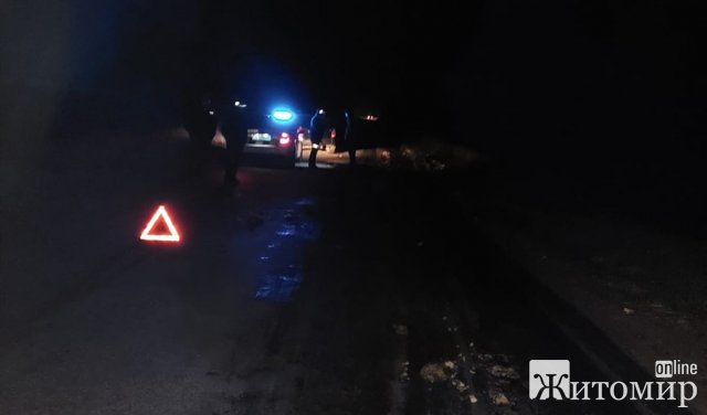 У селі Романівської громади зіткнулися Hyundai та гужовий віз: є травмовані. ФОТО