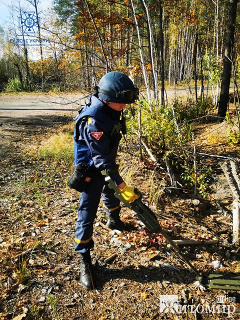 На території Малинської та Народицької громад виявили вибухонебезпечні предмети. ФОТО