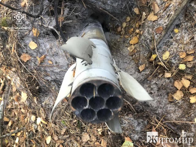 На території Малинської та Народицької громад виявили вибухонебезпечні предмети. ФОТО
