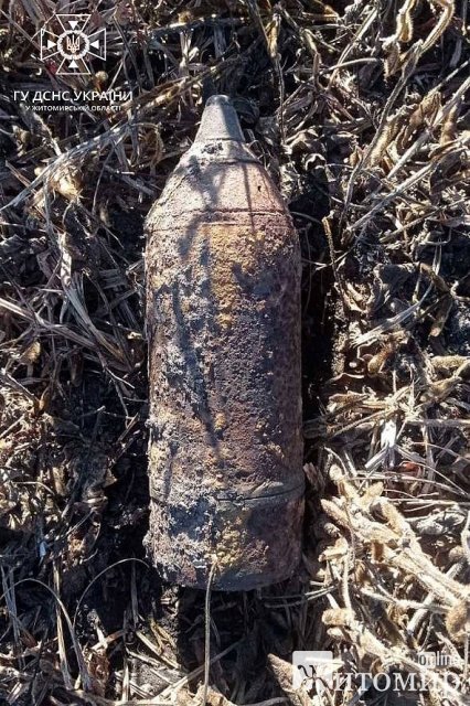 На Житомирщині за 5 днів піротехніки знищили вибухонебезпечні предмети. ФОТО