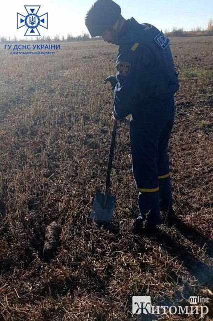 На Житомирщині за 5 днів піротехніки знищили вибухонебезпечні предмети. ФОТО
