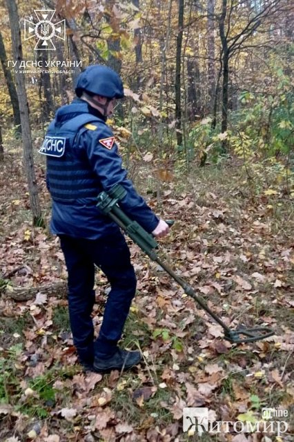 На Житомирщині за 5 днів піротехніки знищили вибухонебезпечні предмети. ФОТО