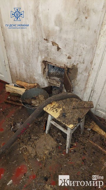 За добу в Коростені горів дерев