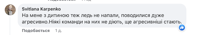 У Малині містяни страждають від бродячих собак У Малині містяни страждають від бродячих собак