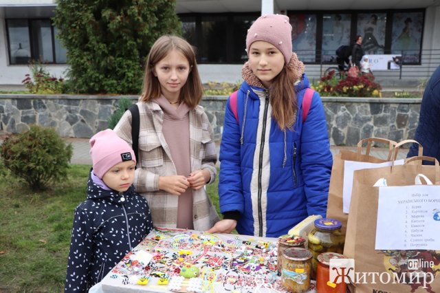 У місті на півночі Житомирщини провели благодійний ярмарок на підтримку ЗСУ. ФОТО