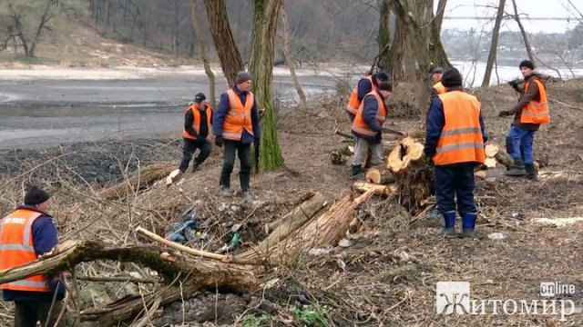 Екологи вважають незаконним спуск греблі на річці Тетерів у Житомирі та вирубку 161 дерева на березі. ФОТО