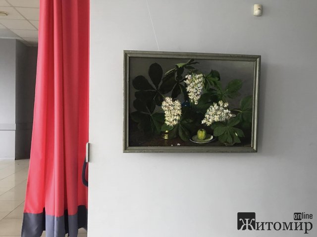 Житомирському «Гнатюк Арт Центр» - 5 років. ФОТО