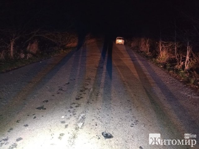 Між селами Новоград-Волинського району ВАЗ збив 14-річну дівчинку. ФОТО