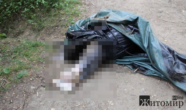У Житомирі 46-річний адвокат вбив свого товариша та одружився з його дівчиною. ФОТО