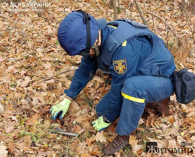 У Коростенському районі виявили артснаряди, касетний елемент від "Урагану" та ручну гранату