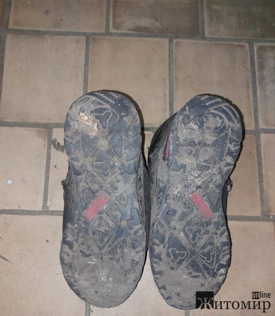 У лісі на Житомирщині знайшли тіло чоловіка, поліція просить допомогти встановити особу. ФОТО