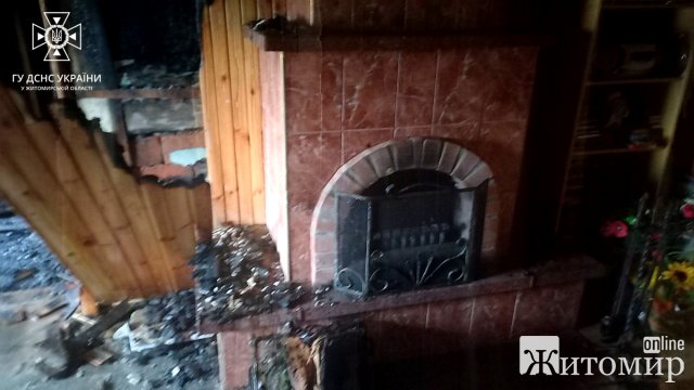 У селі Житомирського району чоловік розпалив камін в дерев