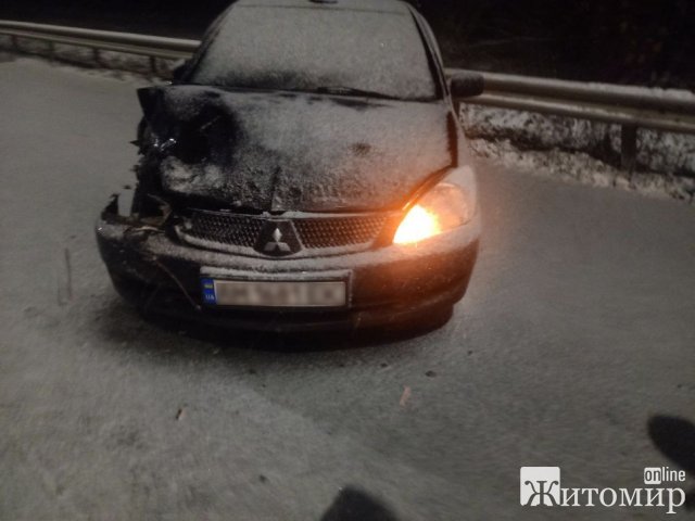 На трасі в Житомирській області зіштовхнулись автобус та бус. ФОТО