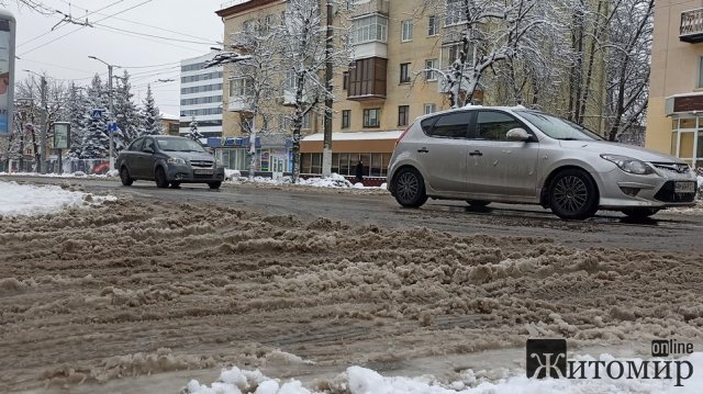 За ніч на Житомирщині випало 15 сантиметрів снігу. ФОТО
