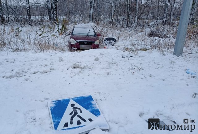 На трасі Київ-Чоп у Житомирській області Hyundai з